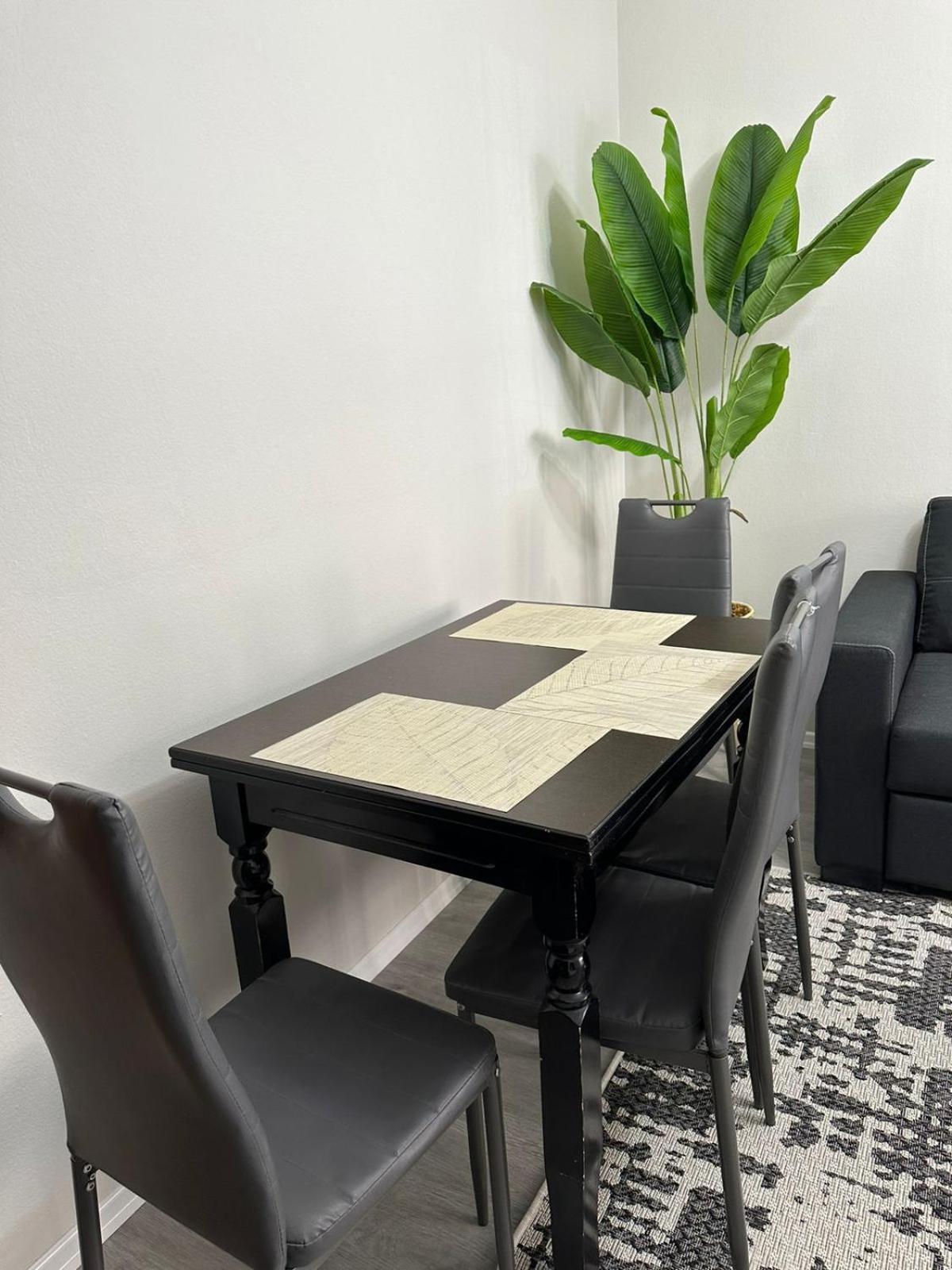 Just Renovated In The Center Tirana