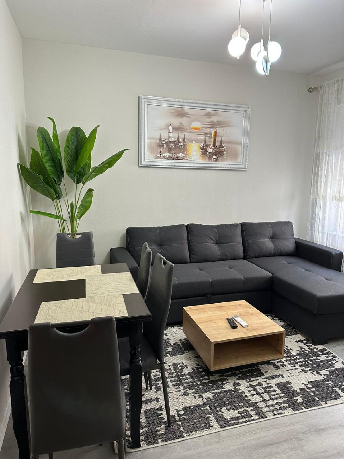 Just Renovated In The Center Tirana